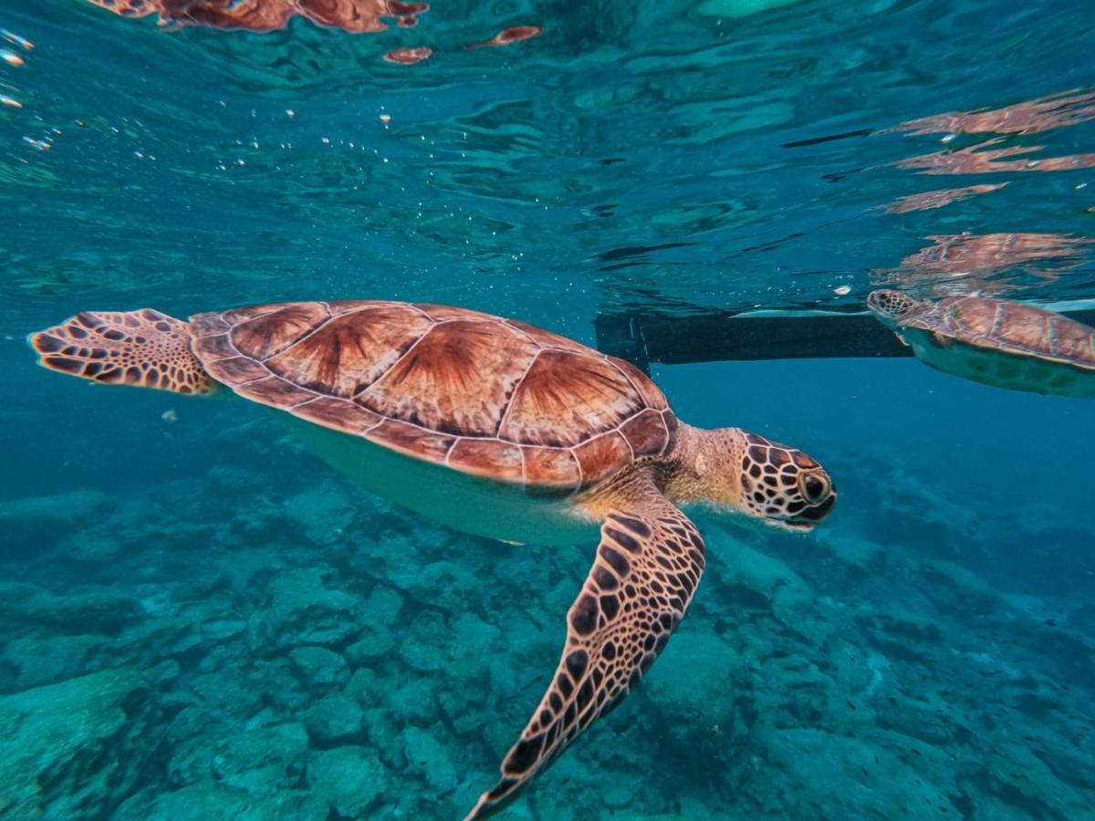 Zoe'S Villa By Turtle Bay Protaras Dış mekan fotoğraf